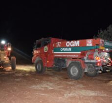 Kahramanmaraş'ta çıkan orman yangını söndürüldü