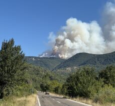 Karabük'te ormanlık alanda çıkan yangına müdahale ediliyor