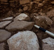 Karahantepe'de kazı alanında koşar halde betimlenen yaban eşeği figürü bulundu