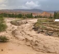 Kars'ta etkili olan sel bazı meyve bahçelerine zarar verdi