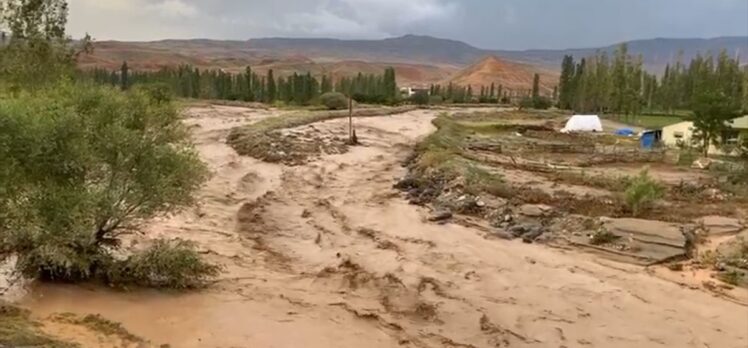 Kars'ta etkili olan sel bazı meyve bahçelerine zarar verdi