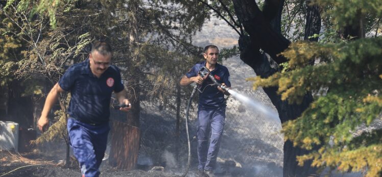 Kayseri'de otluk alanda yangın çıktı