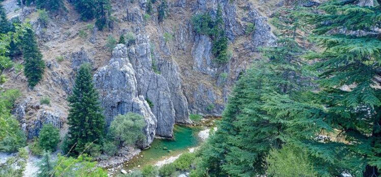 Konya'da çaya giren kişi boğuldu