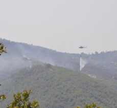 GÜNCELLEME – Manisa'daki orman yangınlarına müdahale sürüyor