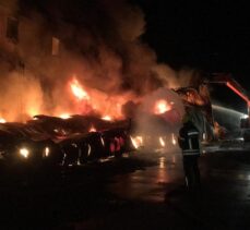 Mersin'de narenciye paketleme tesisinde çıkan yangın söndürüldü