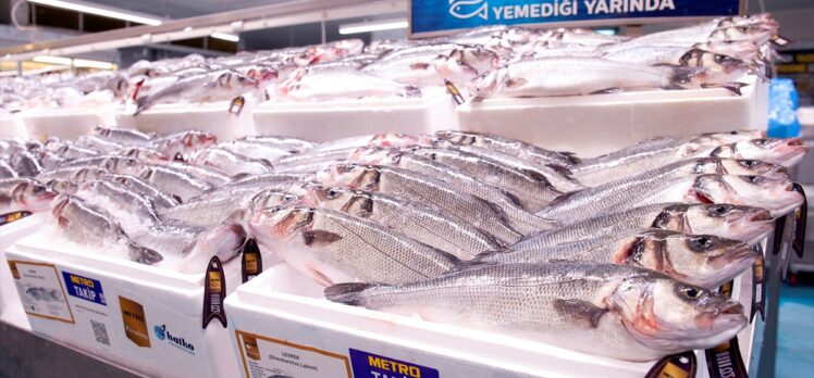 Metro Premium'dan yüksek Omega 3 değerine sahip levrek ve çipuralar