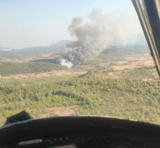 Milas'ta ormanlık alanda çıkan yangına müdahale ediliyor