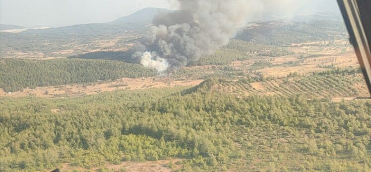 Milas'ta ormanlık alanda çıkan yangına müdahale ediliyor