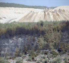 Muğla'nın Milas ilçesinde çıkan orman yangını kontrol altına alındı