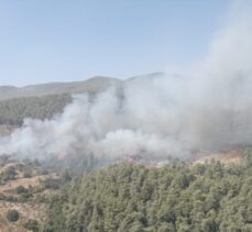 Muğla'nın Milas ilçesinde çıkan orman yangınına müdahale ediliyor