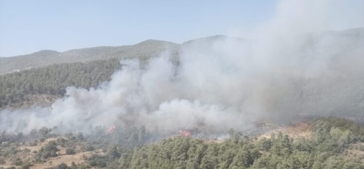 Muğla'nın Milas ilçesinde çıkan orman yangınına müdahale ediliyor