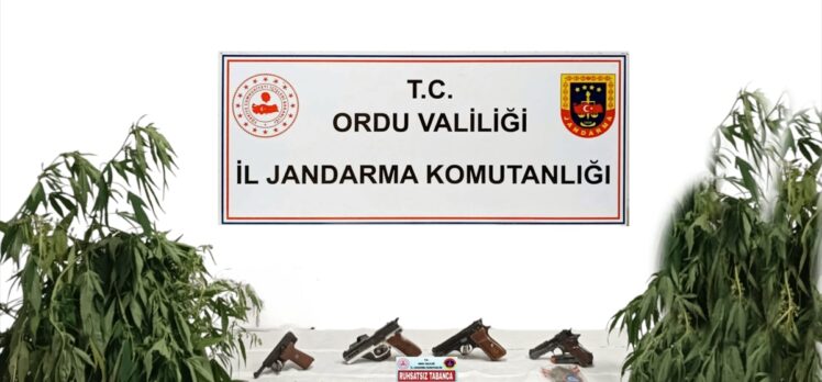 Ordu'da silah kaçakçılığı ve uyuşturucu operasyonunda 2 kişi yakalandı