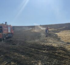 Siirt'te çıkan arazi yangını söndürüldü