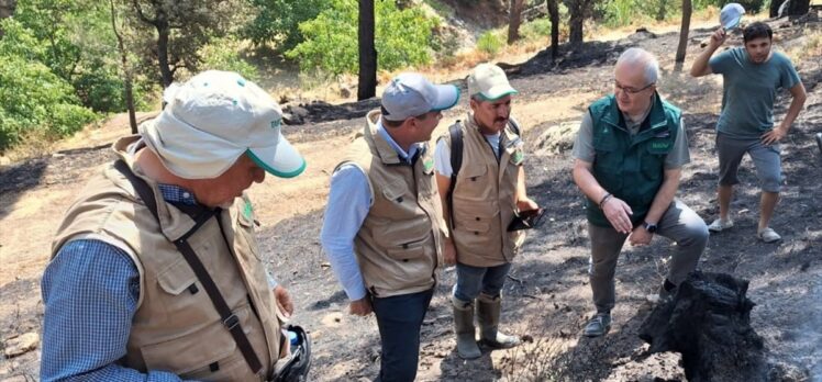 TARSİM'den Aydın ve Muğla'daki yangından etkilenen tarım alanlarını ziyaret