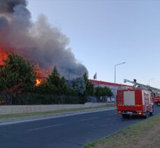 Tekirdağ'da fabrikada çıkan yangına müdahale ediliyor