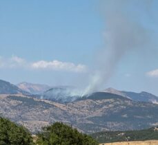 Tunceli'de ormanlık alanda çıkan yangına müdahale ediliyor