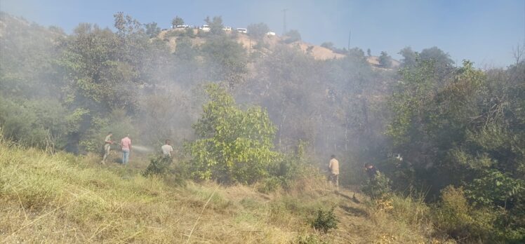 Tunceli'de ormanlık alanda çıkan yangına müdahale ediliyor