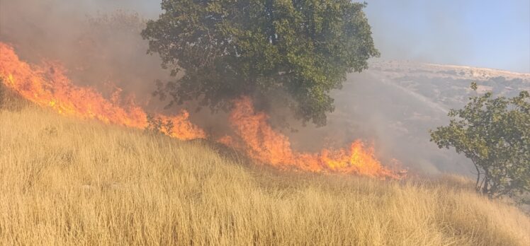 Tunceli'de otluk alanda çıkan yangın söndürüldü