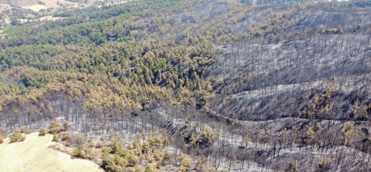 Uşak'ta yanan ormanlık alanlar havadan görüntülendi