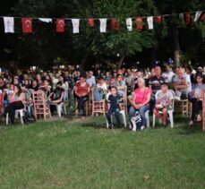 31. Uluslararası Adana Altın Koza Film Festivali'nde halk, açık hava sinemasında film izledi