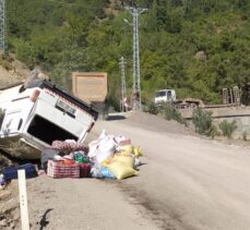 Adana'da devrilen minibüsteki 6 kişi yaralandı