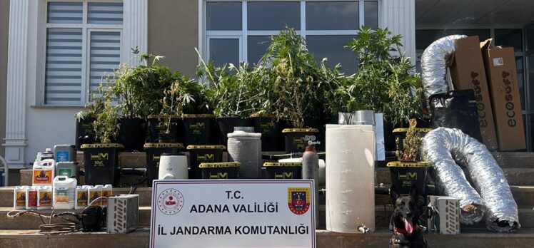 Adana'da iklimlendirme sistemiyle kenevir yetiştiren şüpheli yakalandı