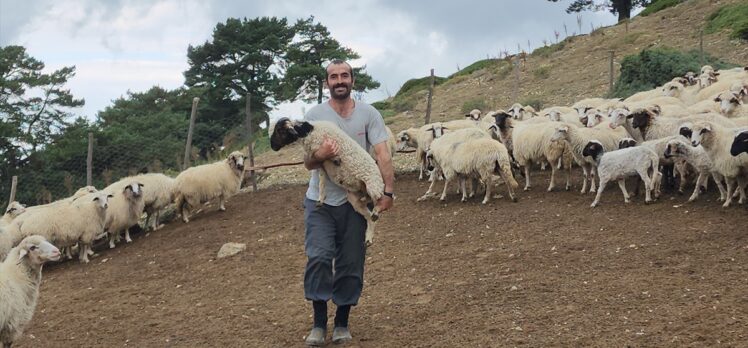 Amasya'da yaylacıların dönüş yolculuğu başladı