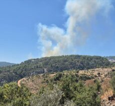 Antalya'nın Kaş ilçesinde orman yangını çıktı