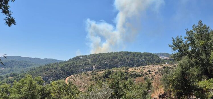 Antalya'nın Kaş ilçesinde orman yangını çıktı