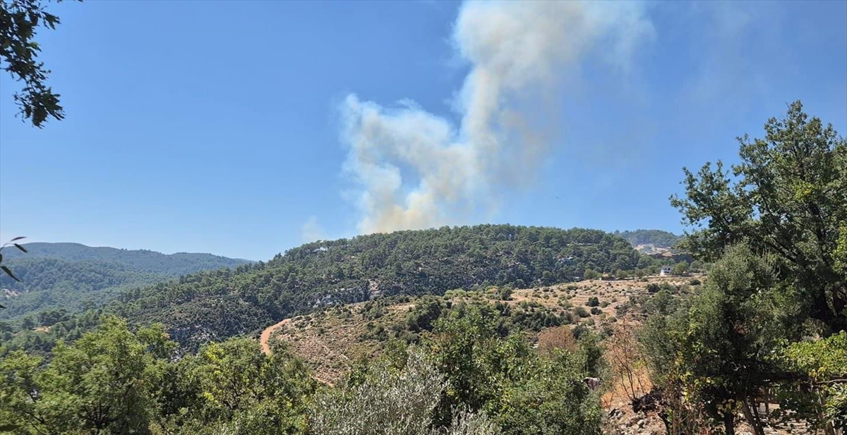 Antalya'nın Kaş ilçesinde orman yangını çıktı