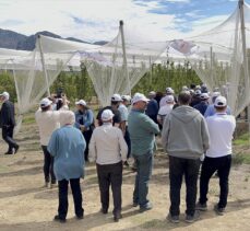 Ateş yanıklığı hastalığına karşı yeni armut çeşitleri geliştirildi