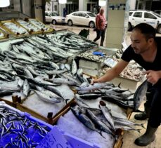 Balık tezgahlarında palamut, hamsi ve çinekop bolluğu yaşanıyor