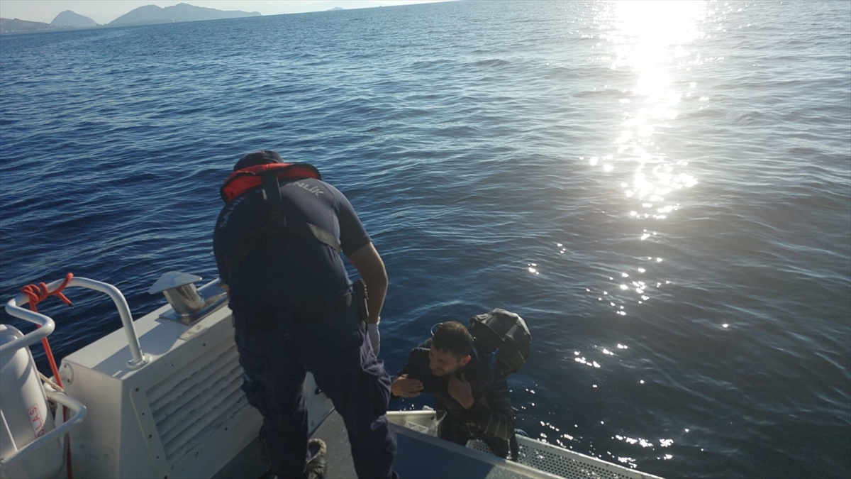 Bodrum'da yüzerek yurt dışına geçmeye çalışan düzensiz göçmen yakalandı