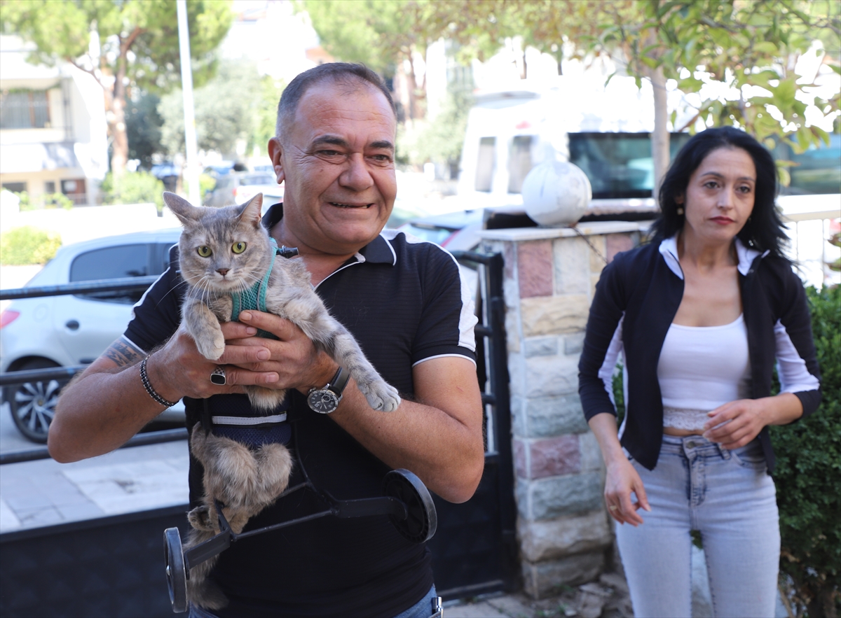 Denizli'de bir hayvansever felçli kedi için yürüteç yaptı