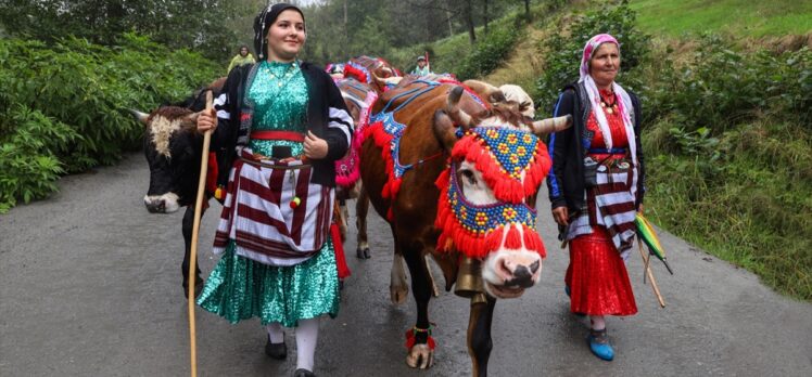 Doğu Karadeniz yaylalarında besicilerin dönüş yolculuğu başladı