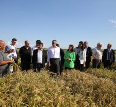 Edirne'de “Çeltik Tarla Günü” etkinliği düzenlendi