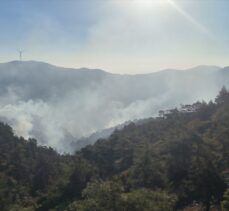 GÜNCELLEME – Hatay'da ormanlık alandaki yangına müdahale ediliyor