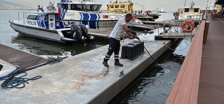 İzmir Körfezi'nde balık ölümleri sürüyor