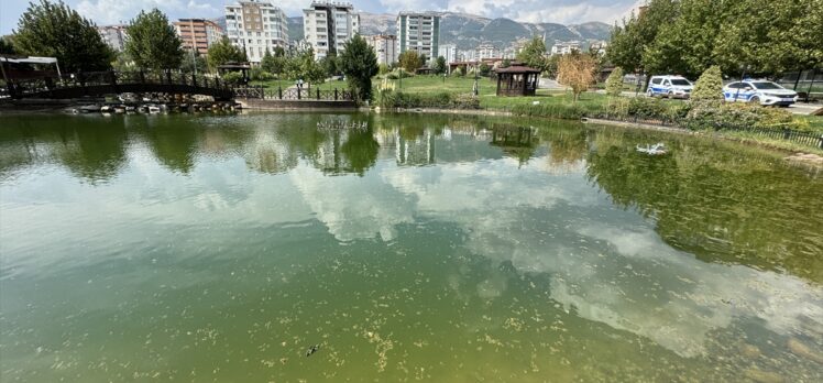 Kahramanmaraş'ta gölette boğulma tehlikesi geçiren çocuk hastaneye kaldırıldı