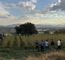 Kahramanmaraş'ta yıldırım isabet eden çoban öldü