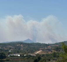 Muğla'da çıkan orman yangınına müdahale ediliyor