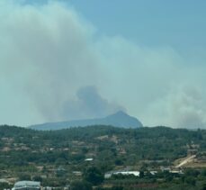 GÜNCELLEME – Muğla'da çıkan orman yangınına müdahale ediliyor