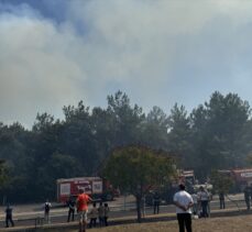 OMÜ kampüsündeki ormanlık alanda çıkan yangına müdahale ediliyor