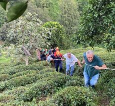 Rize'de teli kopan ilkel teleferikten çay bahçesine atlayan kadın yaralandı