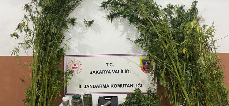 Sakarya'da uyuşturucu operasyonlarında yakalanan 3 zanlıdan 1'i tutuklandı