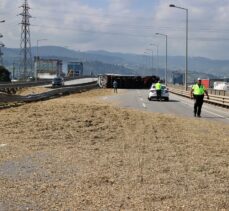 Samsun'da arı sokan tır şoförü kaza yaptı