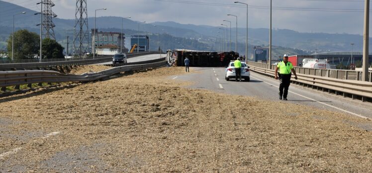 Samsun'da arı sokan tır şoförü kaza yaptı