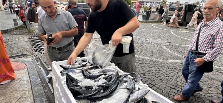 Samsun'da hamsinin kilogramı 200, palamudun tanesi 50 liradan satılıyor