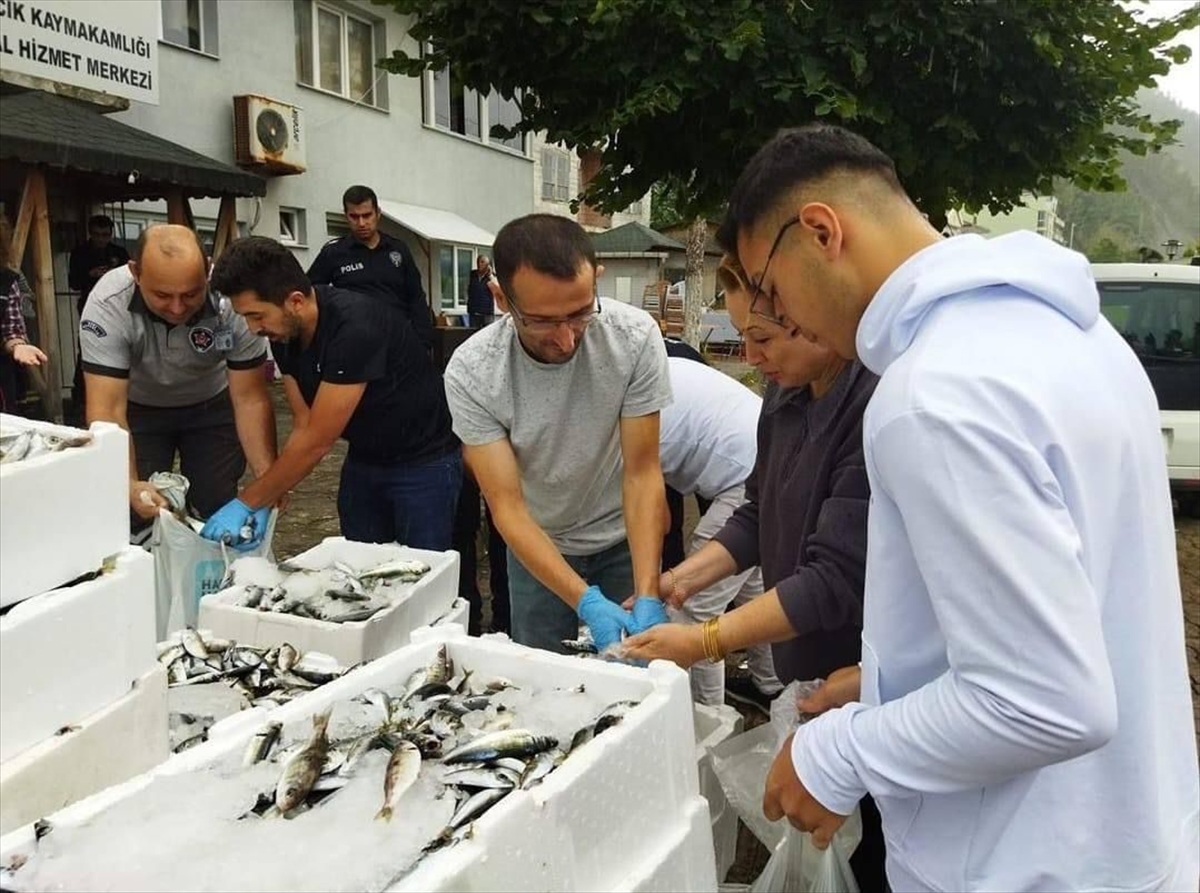 Sinop'ta kaçak yolla avlandığı belirlenen balıklar vatandaşlara ücretsiz dağıtıldı