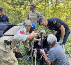 Sinop'ta mantar toplarken kaybolan kadın ormanda bulundu